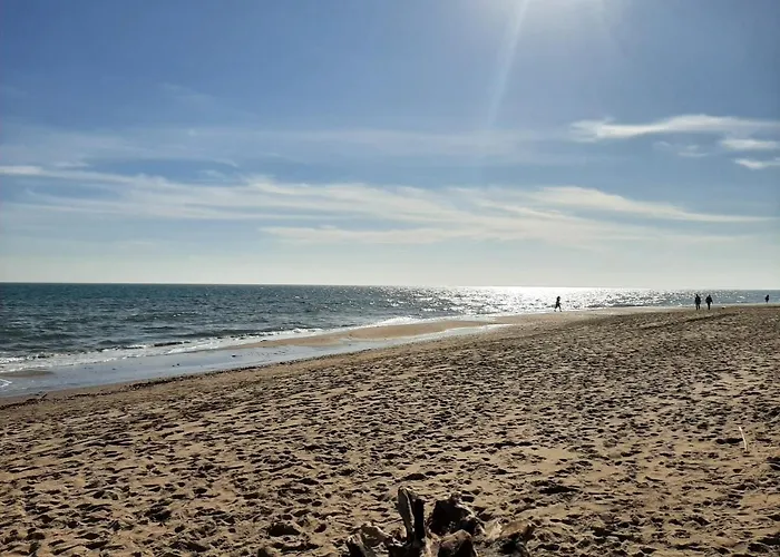Lejlighed Du Soleil, Climatise Avec Piscine Chauffee D'avril A Novembre, Et Jacuzzi *